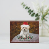 Carte Postale Noël des chiots maltais (Debout devant)