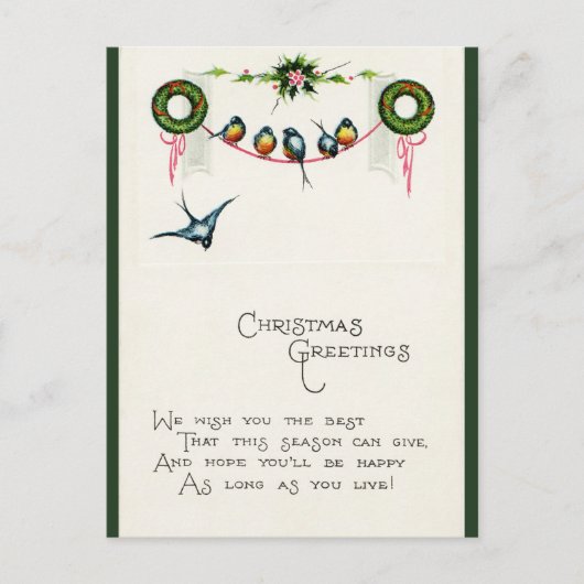 Carte Postale Noël des oiseaux vintages au ruban (Devant)