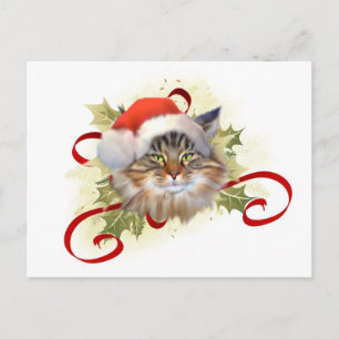 Carte postale Noël du chat Maine Coon