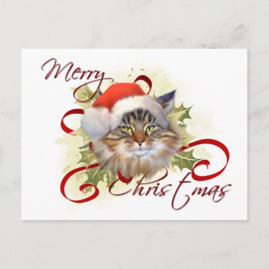 Carte postale Noël du chat Maine Coon (Devant)