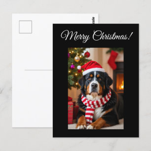Carte Postale Noël du chien de montagne bernois