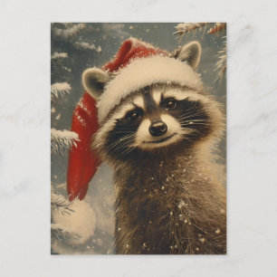 Carte Postale Noël du Raccoon