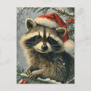 Carte Postale Noël du Raccoon