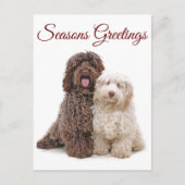 Carte Postale Noël Joyeuses Fêtes Labradoodle Amis (Devant)
