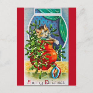 Carte Postale Noël, Noel Kitten