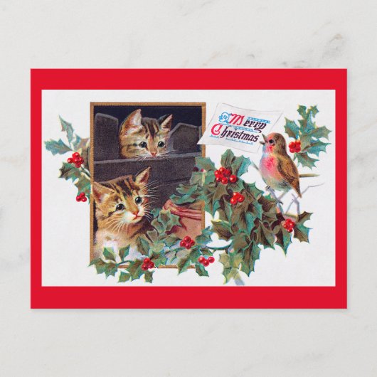 Carte Postale Noël, Noël Kitten et Petit Oiseau (Devant)