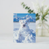 Carte Postale Noël Pitbull Chien Snowman (Debout devant)