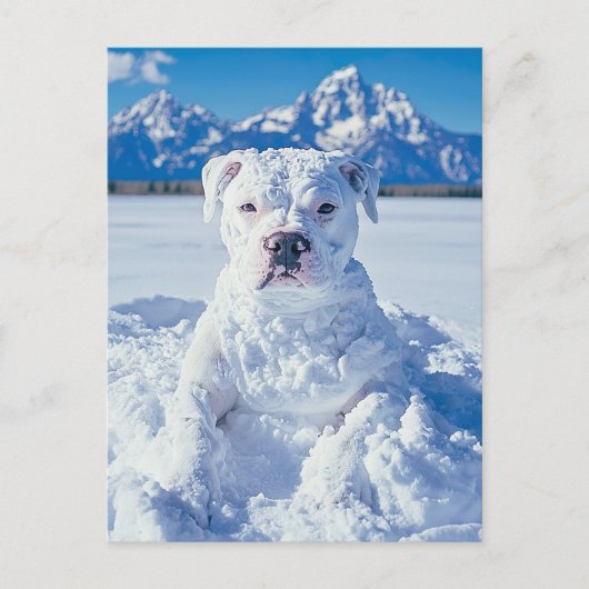 Carte Postale Noël Pitbull Chien Snowman (Devant)