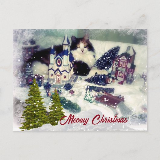 Carte Postale Noël Rétro Chat / Fête de l'amour pour les chats (Devant)