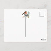 Carte Postale Noël Robin Pine Baubles (Dos)