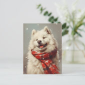 Carte Postale Noël Samoyé (Debout devant)
