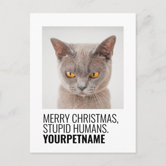 Carte Postale Noël Simple Funny Nom de l'animal Photo (Devant)