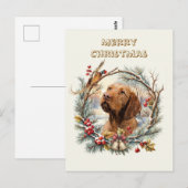Carte Postale Noël Vizsla (Devant / Derrière)