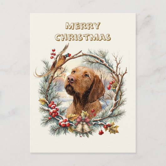 Carte Postale Noël Vizsla (Devant)