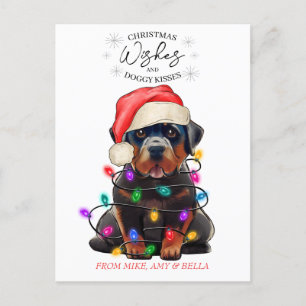 Carte Postale Noël Voeux Chien Chiot Baisers Joli Animal Personn