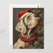 Carte Postale Noël Weimaraner (Devant / Derrière)