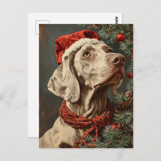 Carte Postale Noël Weimaraner (Devant / Derrière)