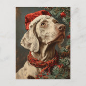 Carte Postale Noël Weimaraner (Devant)