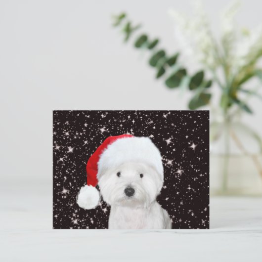 Carte Postale Noël Westie (Debout devant)