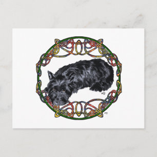 Carte Postale Noeud celtique Scottie au repos