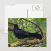 Carte Postale Noir (Devant / Derrière)