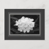 Carte Postale Noir & Blanc (Devant)