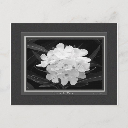 Carte Postale Noir & Blanc (Devant)