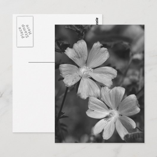 Carte Postale Noir & Blanc (Devant / Derrière)