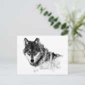 Carte Postale Noir Blanc Inspiration Wolf Eyes (Debout devant)