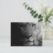 Carte Postale Noir Blanc Motivation Leadership Lion Portrait (Debout devant)