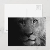 Carte Postale Noir Blanc Motivation Leadership Lion Portrait (Devant / Derrière)