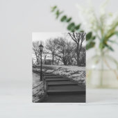 Carte Postale Noir Blanc NY Central Park (Debout devant)