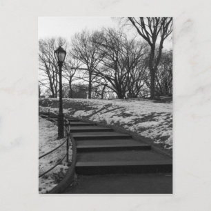 Carte Postale Noir Blanc NY Central Park