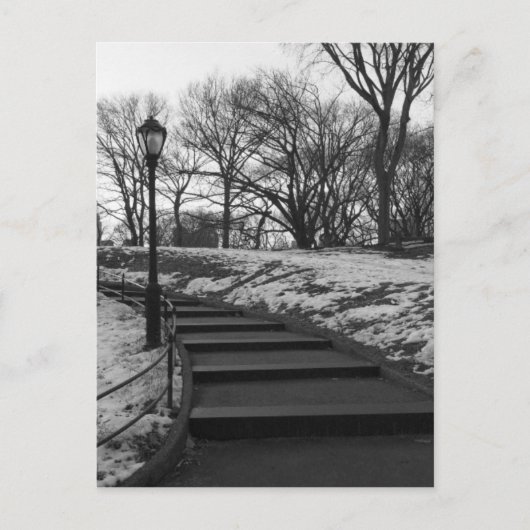 Carte Postale Noir Blanc NY Central Park (Devant)