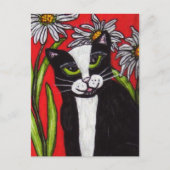 Carte Postale Noir Blanc Tuxedo Chat Blanc Daisis Vibrant Rouge (Devant)
