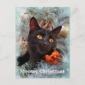 Carte Postale Noir Chat Joyeux Noël (Devant)