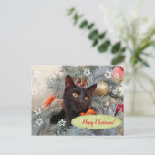 Carte Postale Noir Chat Joyeux Noël (Debout devant)