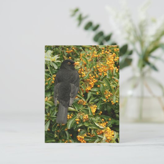 Carte Postale Noir de faim (Debout devant)