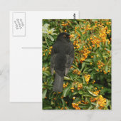 Carte Postale Noir de faim (Devant / Derrière)