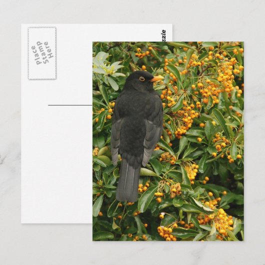 Carte Postale Noir de faim (Devant / Derrière)