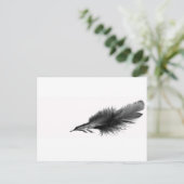 Carte Postale Noir de plume (Debout devant)