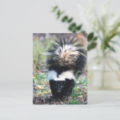 Carte Postale Noir et blanc (Debout devant)