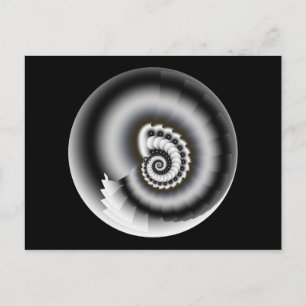 Carte Postale Noir Et Blanc