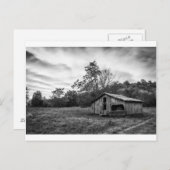 Carte Postale Noir et blanc à l'aube (Devant / Derrière)