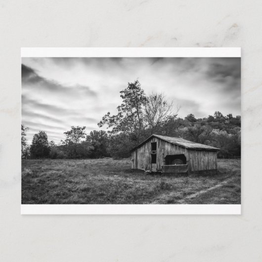 Carte Postale Noir et blanc à l'aube (Devant)