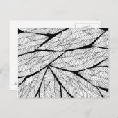 Carte Postale Noir et blanc Abstrait Feuilles géométriques moder (Devant / Derrière)