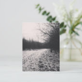 Carte Postale Noir et blanc congelé (Debout devant)