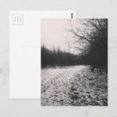 Carte Postale Noir et blanc congelé (Devant / Derrière)