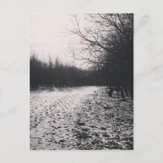 Carte Postale Noir et blanc congelé (Devant)