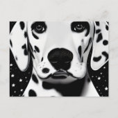 Carte Postale Noir et blanc Cute Retro Dalmatie Chiot (Devant)